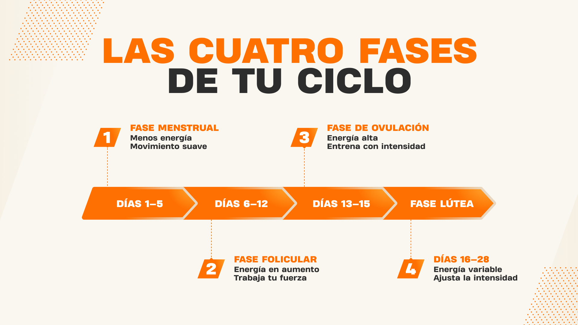 Infografía de las cuatro fases del ciclo menstrual con la intensidad de entrenamiento recomendada a lo largo de una línea de tiempo de 28 días.