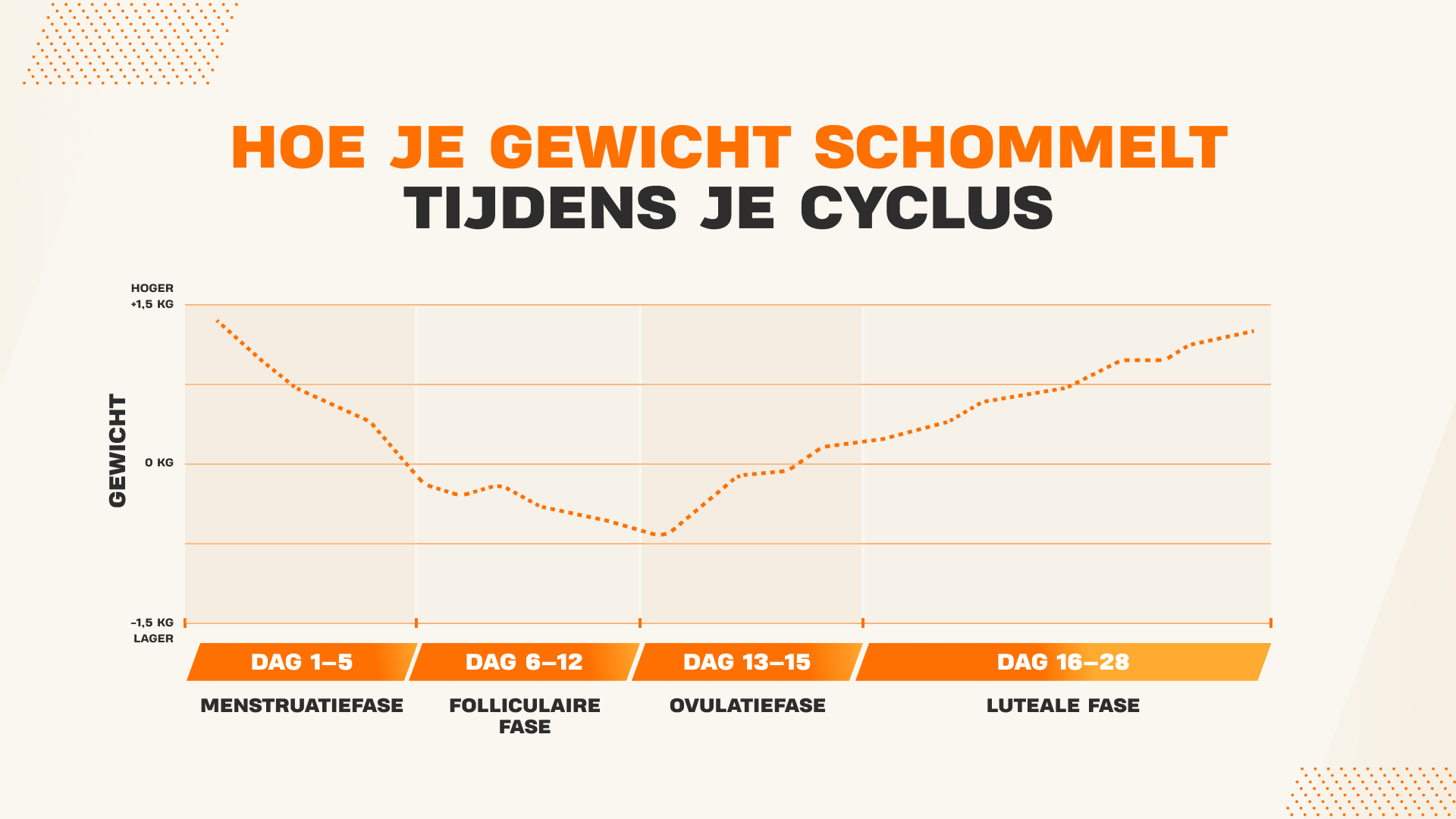 Grafiek die gewichtsschommelingen tijdens de menstruatiecyclus per fase laat zien