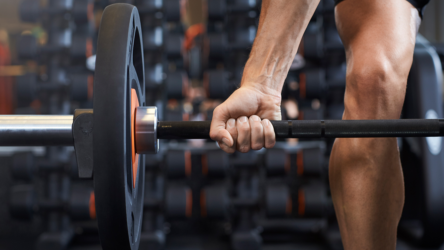 Basic Fit Programme Prise De Masse Développer ta masse musculaire