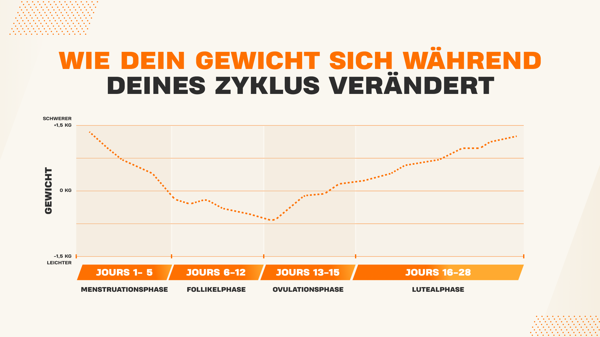 Grafik zeigt Gewichtsschwankungen während des Menstruationszyklus in verschiedenen Phasen