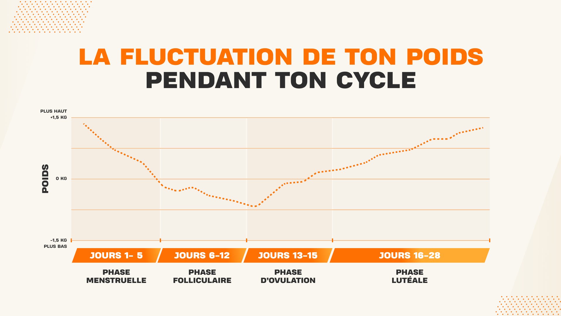 Graphique montrant les variations de poids au cours du cycle menstruel selon les différentes phases