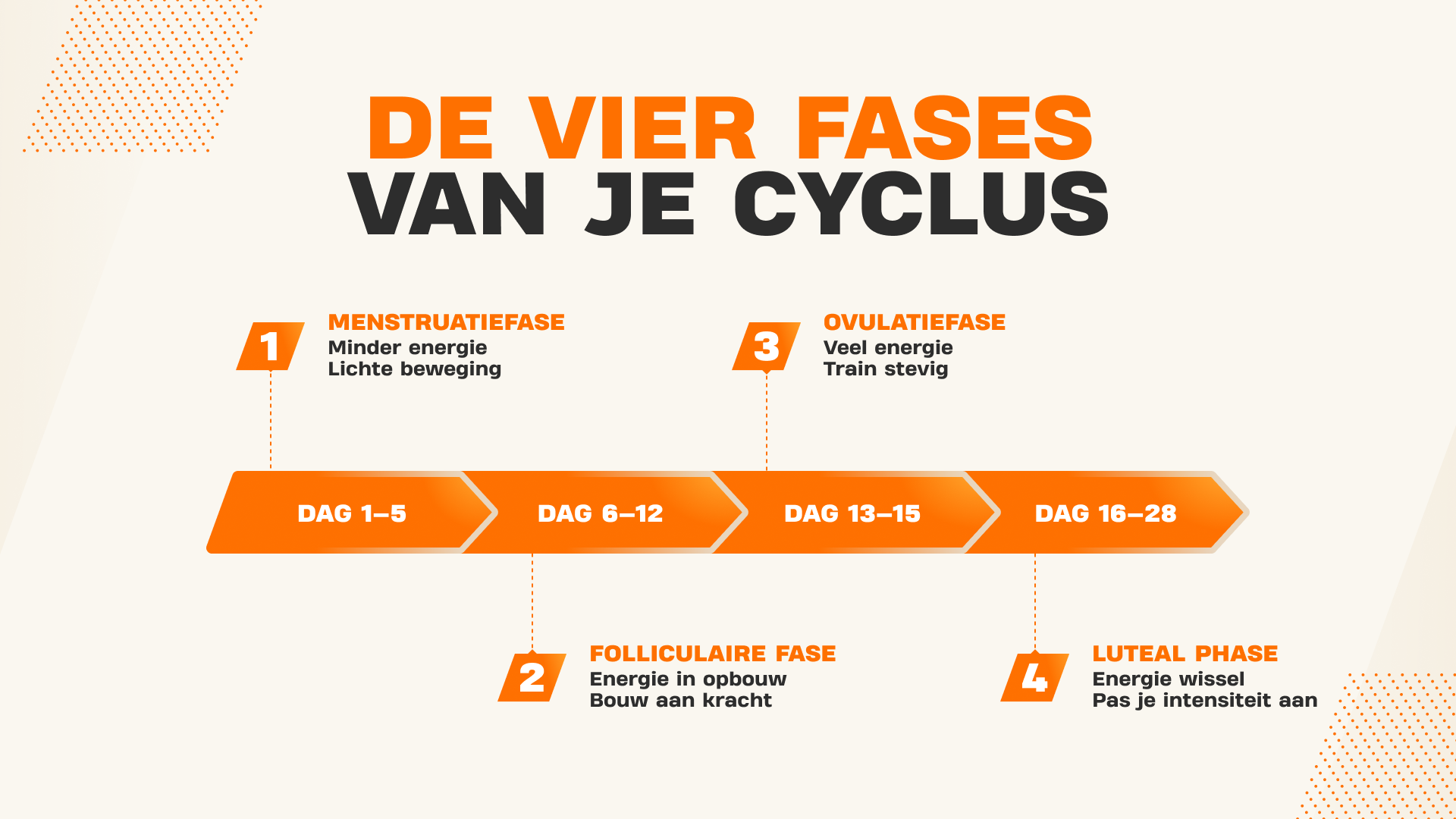 Infographic van de vier fasen van de menstruatiecyclus met aanbevolen trainingsintensiteit over een tijdlijn van 28 dagen.