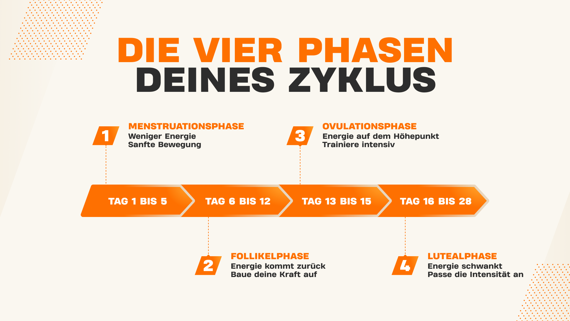 Infografik der vier Phasen des Menstruationszyklus mit empfohlener Trainingsintensität über einen Zeitraum von 28 Tagen.