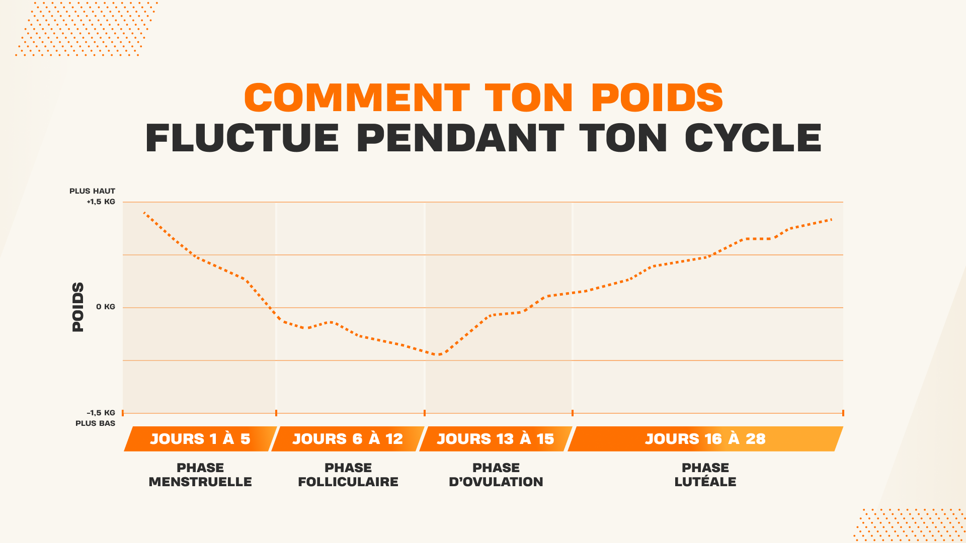 Graphique montrant les variations de poids au cours du cycle menstruel selon les différentes phases