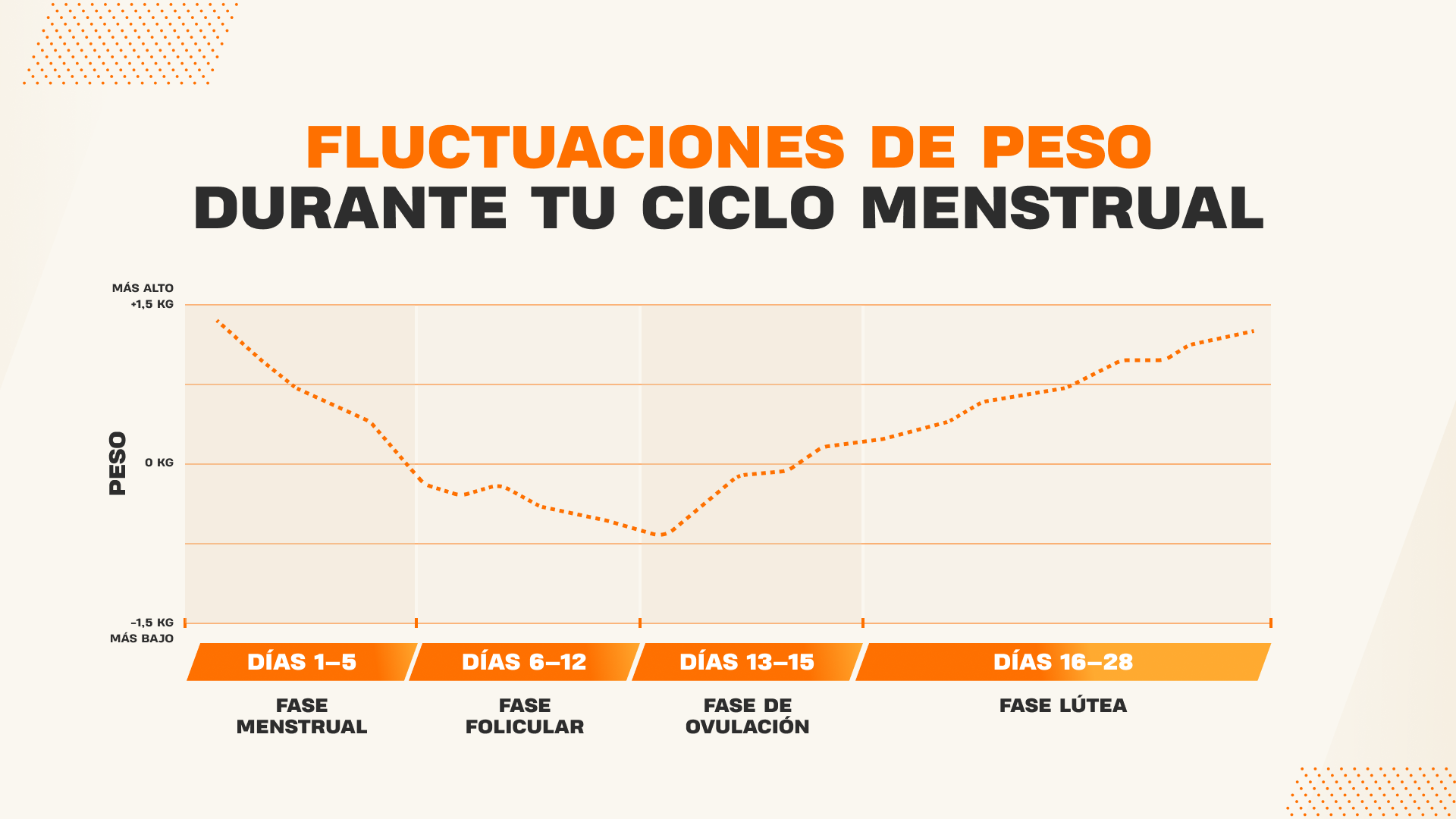 Gráfico que muestra las fluctuaciones de peso durante el ciclo menstrual en sus diferentes fases